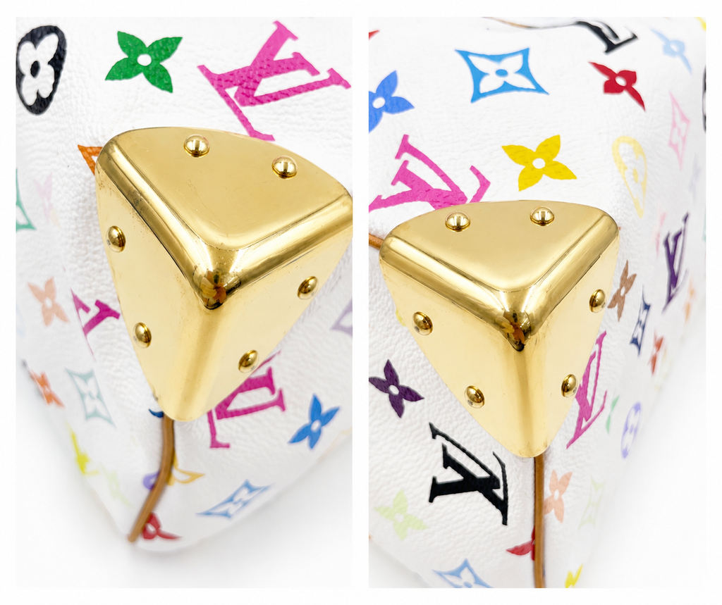 Louis Vuitton Multicolor Speedy 30 with Golden Arrow Corners