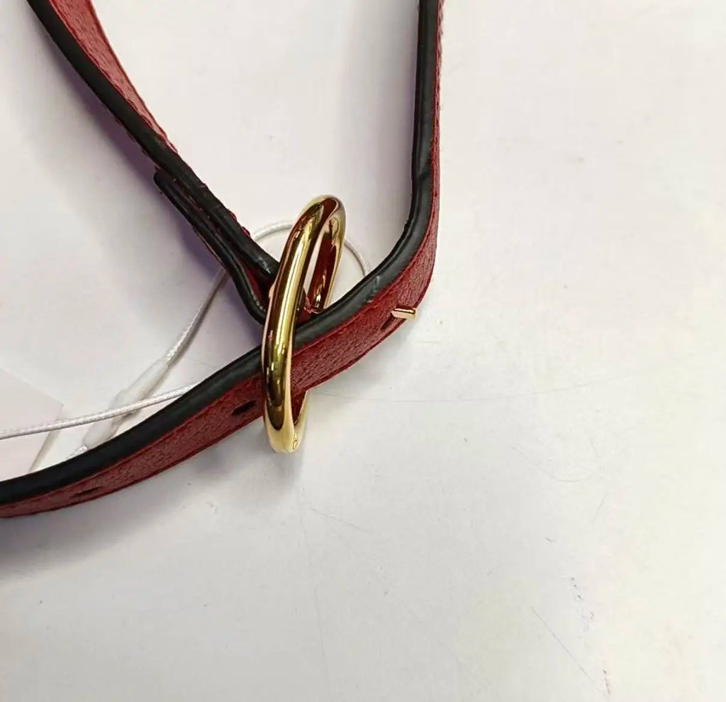 Gucci Les Pommes GG Supreme Apple Belt Bag