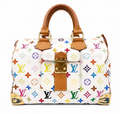 Louis Vuitton Multicolor Speedy 30 with Golden Arrow Corners