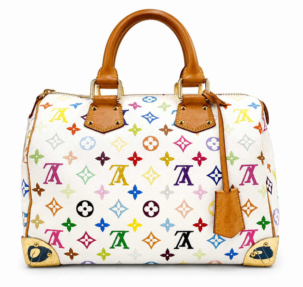 Louis Vuitton Multicolor Speedy 30 with Golden Arrow Corners